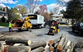 Best Commercial Tree Services  in Balmville, NY