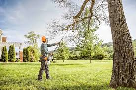 Best Lawn Grading and Leveling  in Balmville, NY