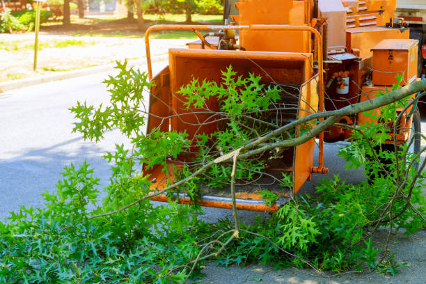 Best Organic Lawn Care Solutions  in Balmville, NY