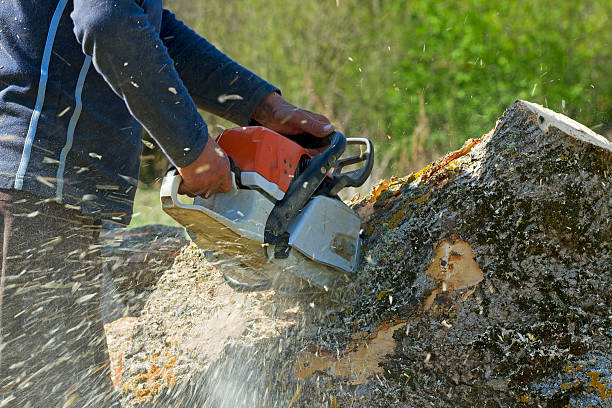 Lawn Irrigation Installation and Maintenance in Balmville, NY