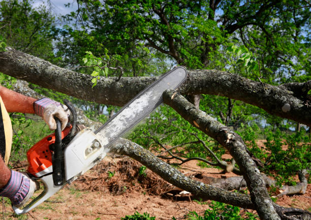 Best Aeration Services  in Balmville, NY